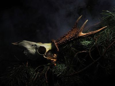 Dido and Aeneas artwork